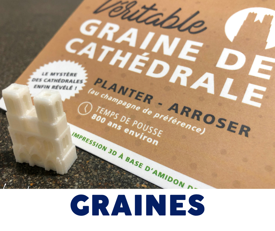 véritables graines de cathédrale Graine de Cathédrale - Visuel